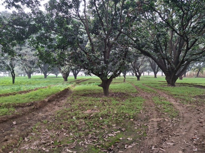 Additional image 3 of Saket, Meerut