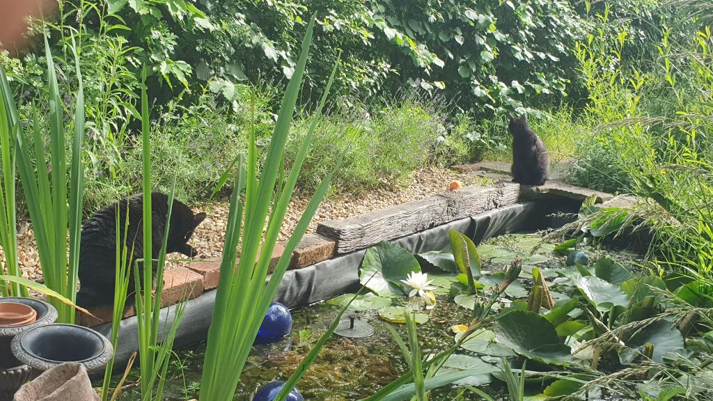 Additional image 7 of West Street, Trowbridge