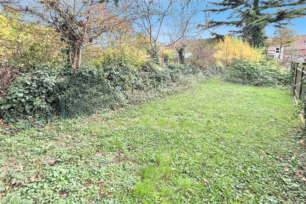 Additional image 14 of The Common, Holt