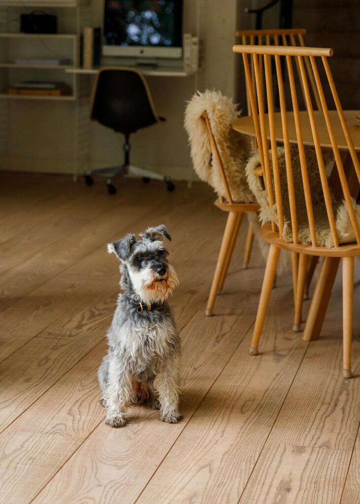 Additional image 10 of Kaylow, Frome, Somerset