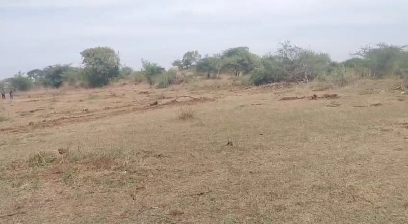 Additional image 2 of Mungsare, Nashik