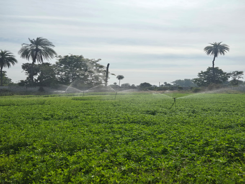 Additional image 3 of Bicholi Mardana, Indore