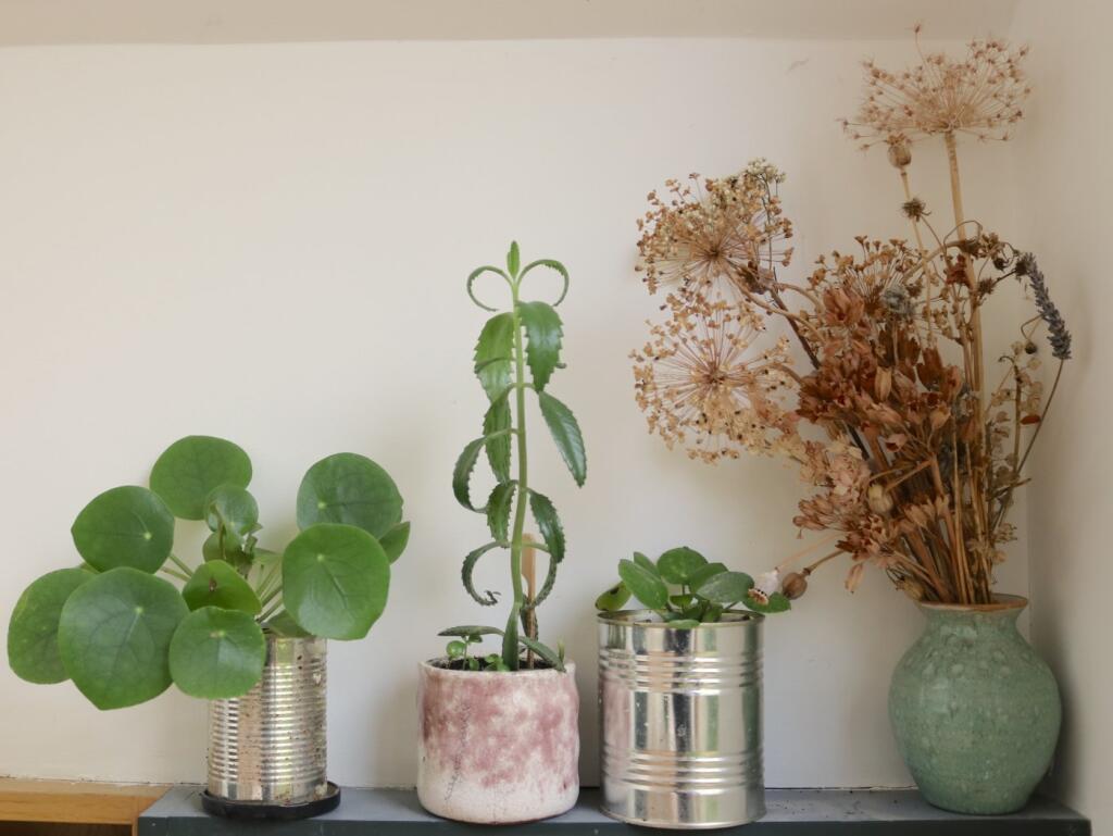 Additional image 11 of High Street, Frome, Somerset, BA11