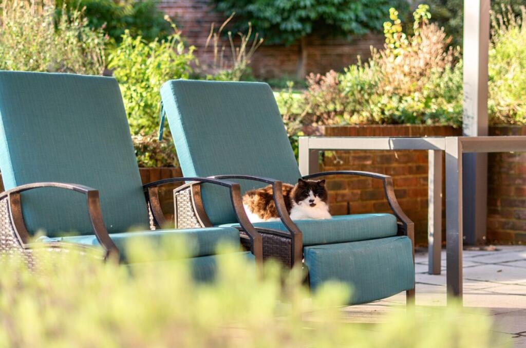 Additional image 33 of 16 The Walled Garden, Heytesbury Park, Heytesbury, Warminster