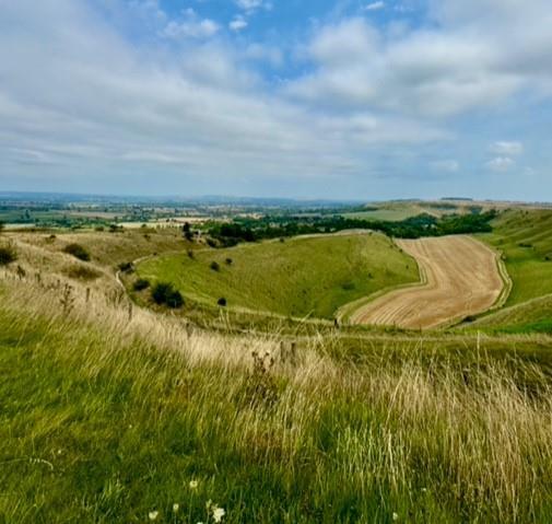 Additional image 22 of White Horse Valley, Bratton
