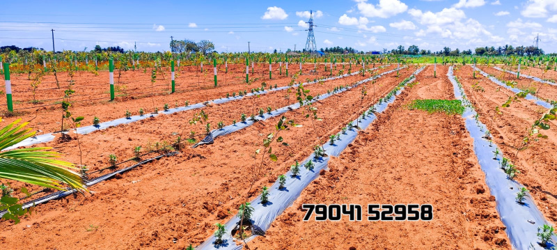 Additional image 2 of Madurantakam, Chennai