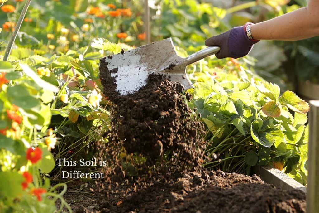 Additional image 10 of Forget Me Not Farm, Earlswood, B94
