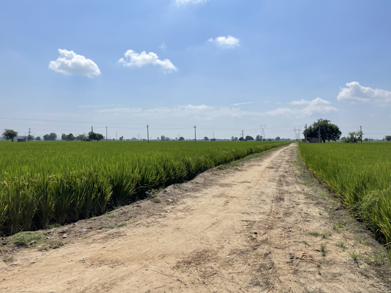 Additional image 3 of Lalton Kalan, Ludhiana