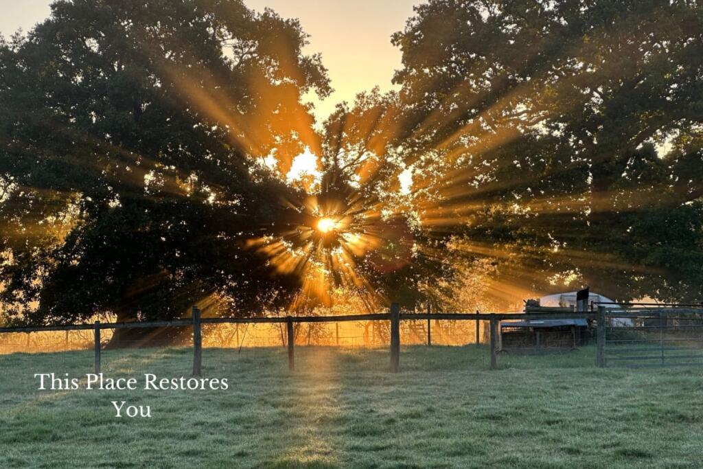 Additional image 19 of Forget Me Not Farm, Earlswood, B94