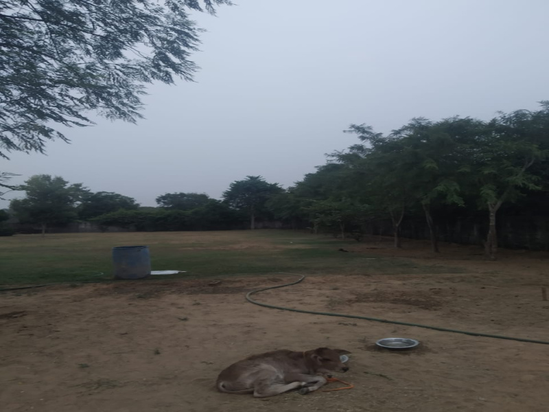 Additional image 2 of Bhondsi, Gurgaon