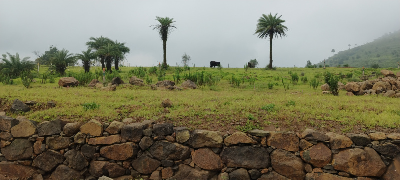 Additional image 3 of Bhor, Pune