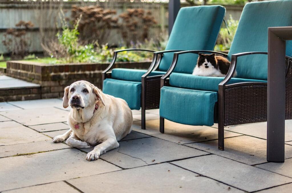 Additional image 29 of 16 The Walled Garden, Heytesbury Park, Heytesbury, Warminster