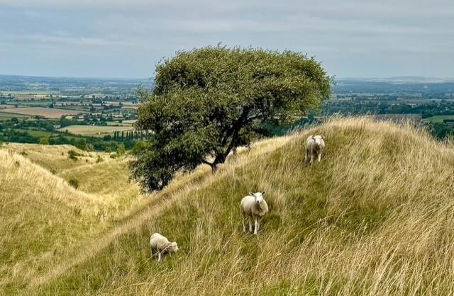 Additional image 23 of White Horse Valley, Bratton