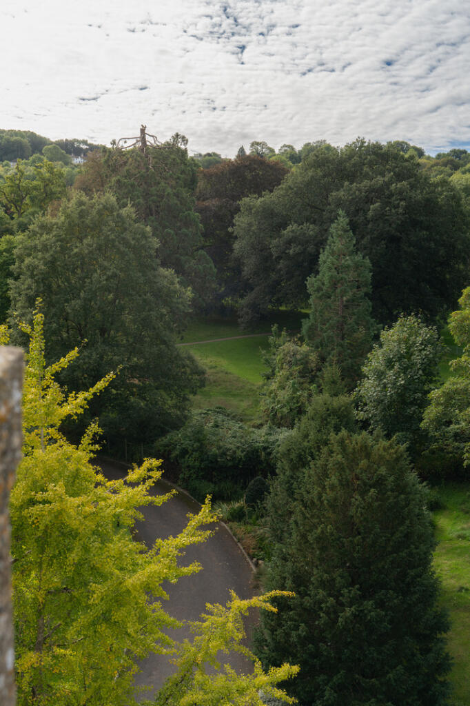 Additional image 6 of Ashford's Tower, Bath, Somerset