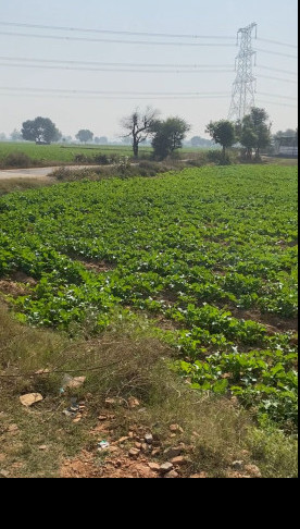 Additional image 2 of Naugaon, Alwar