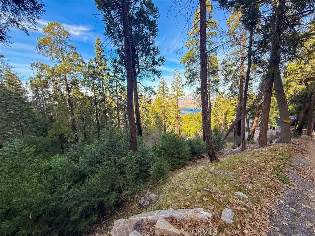 Additional image 18 of 21614 Canyon Vista, Crestline, CA 92322