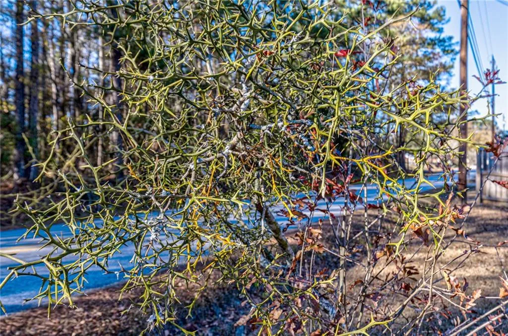 Additional image 48 of 520 Robinson Drive, Smiths Station, AL 36877