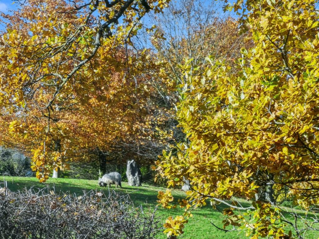 Additional image 28 of Central Shepton, backing onto charming farmland