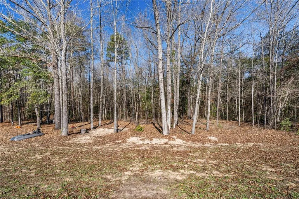 Additional image 54 of 868 Lee Road 2087, Salem, AL 36874