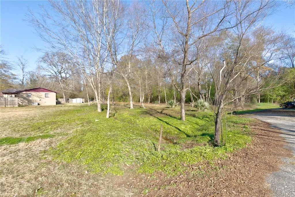 Additional image 77 of 520 Robinson Drive, Smiths Station, AL 36877