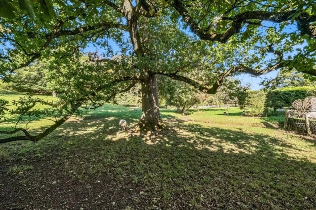 Additional image 26 of Central Shepton, backing onto charming farmland