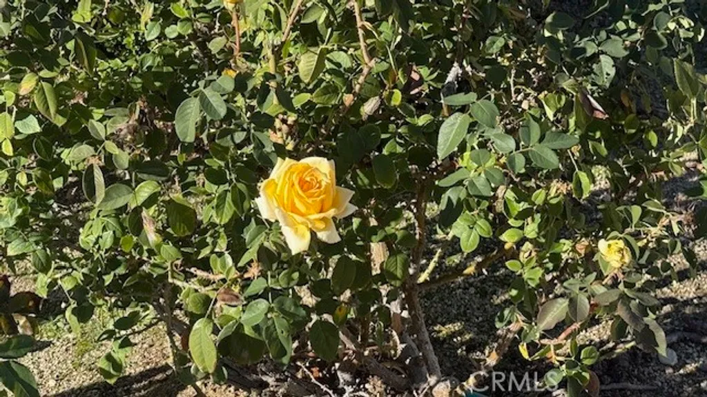 Additional image 36 of 22128 Barbacoa Dr, Saugus, CA 91350