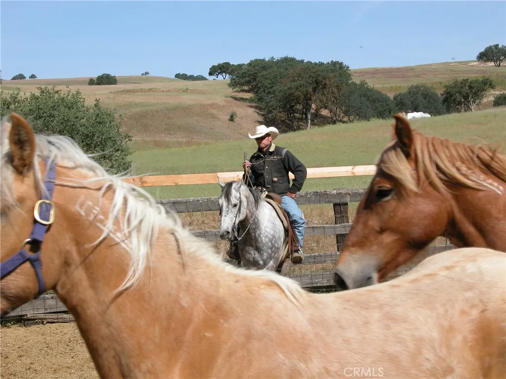 Additional image 6 of Nickel Creek Road, San Miguel, CA 93451