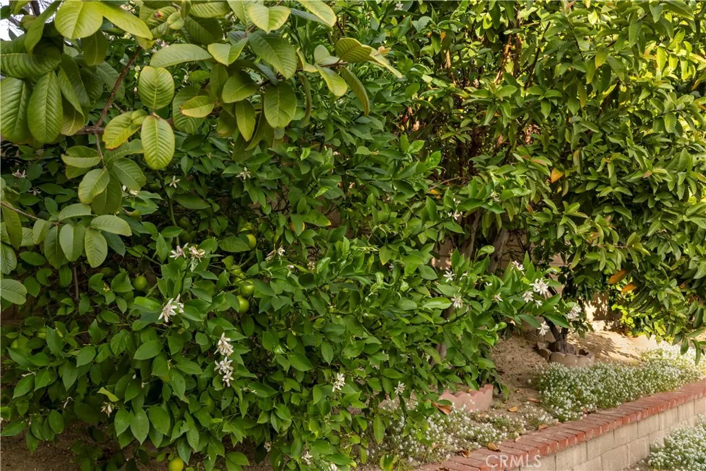 Additional image 91 of 1000 Heaton Moor Dr, Walnut, CA 91789