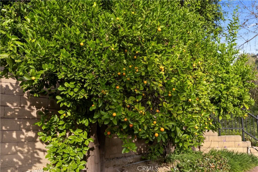 Additional image 92 of 1000 Heaton Moor Dr, Walnut, CA 91789