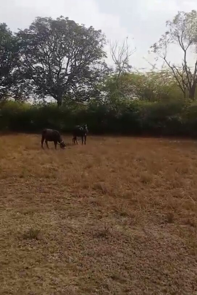 Additional image 3 of Nathdwara Road, Udaipur