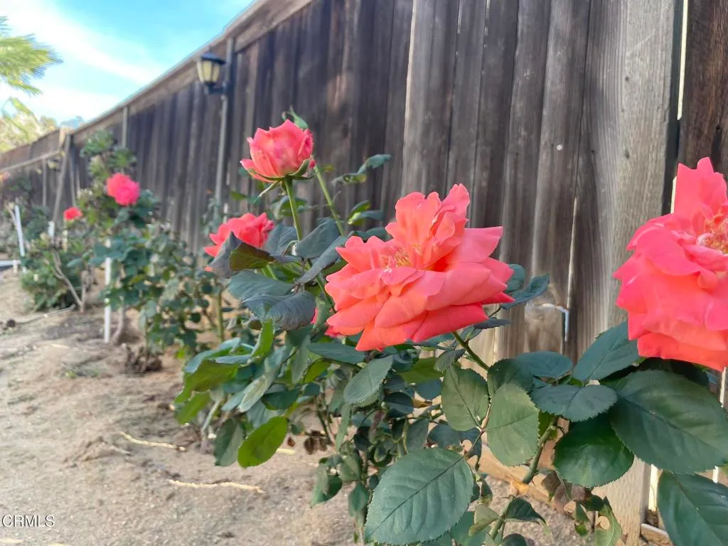 Additional image 57 of 22253 Summer Holly Avenue, Moreno Valley, CA 92553