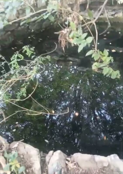 Additional image 2 of Nathdwara Road, Udaipur