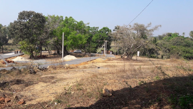 Additional image 2 of Chinchinim, Goa