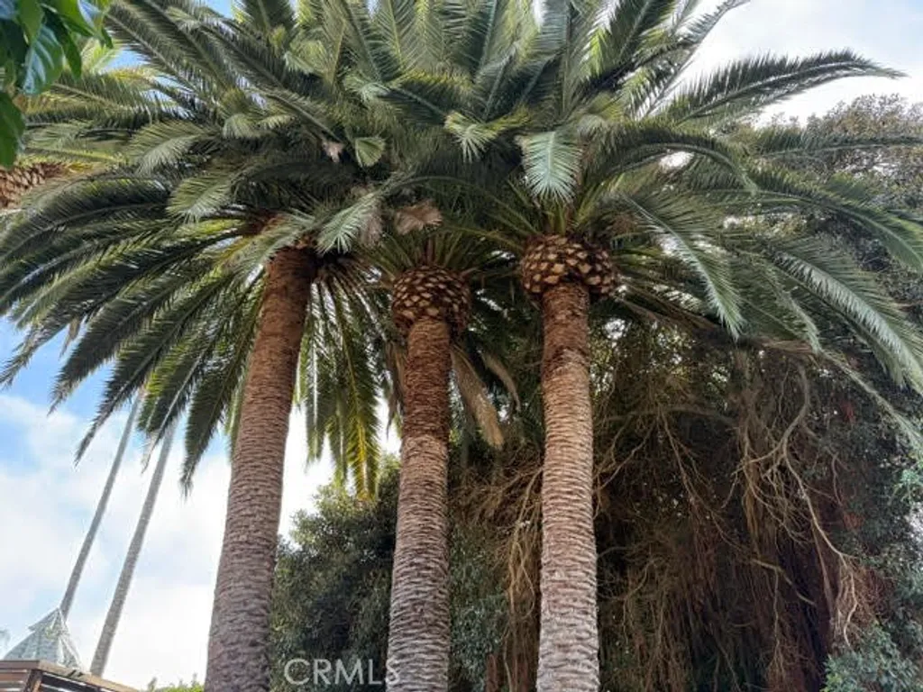 Additional image 32 of 102 Trafalgar Ln, San Clemente, CA 92672