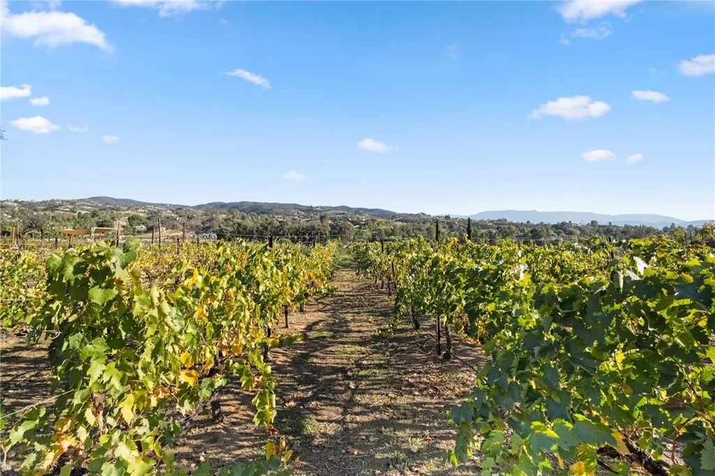 Additional image 57 of 39750 De Portola Rd, Temecula, CA 92592