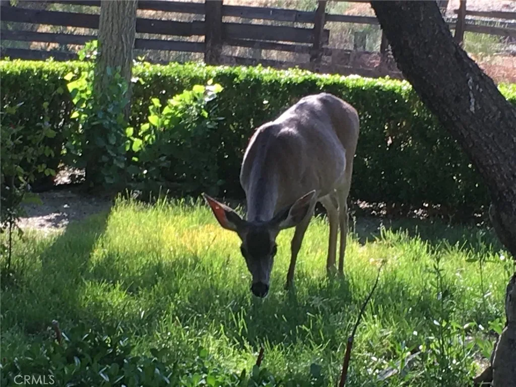 Additional image 28 of Nickel Creek Road, San Miguel, CA 93451