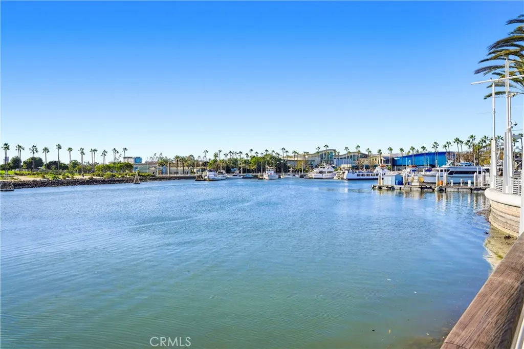 Additional image 54 of 545 Chestnut Ave #207, Long Beach, CA 90802