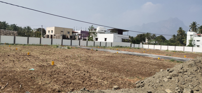 Additional image 3 of Thudiyalur, Coimbatore