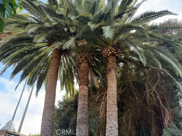 Additional image 74 of 102 Trafalgar Ln, San Clemente, CA 92672