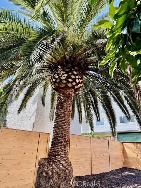 Additional image 69 of 102 Trafalgar Ln, San Clemente, CA 92672