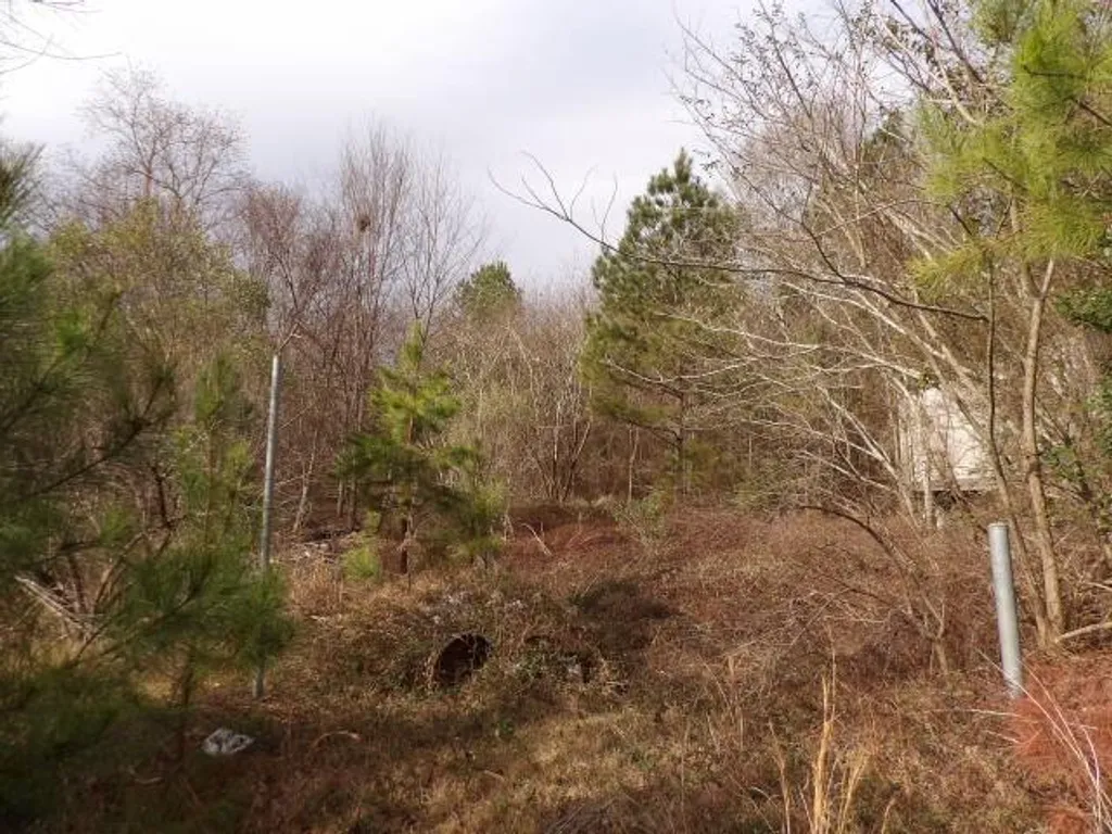 Additional image 4 of E 22nd Ave, Phenix City, AL 36867