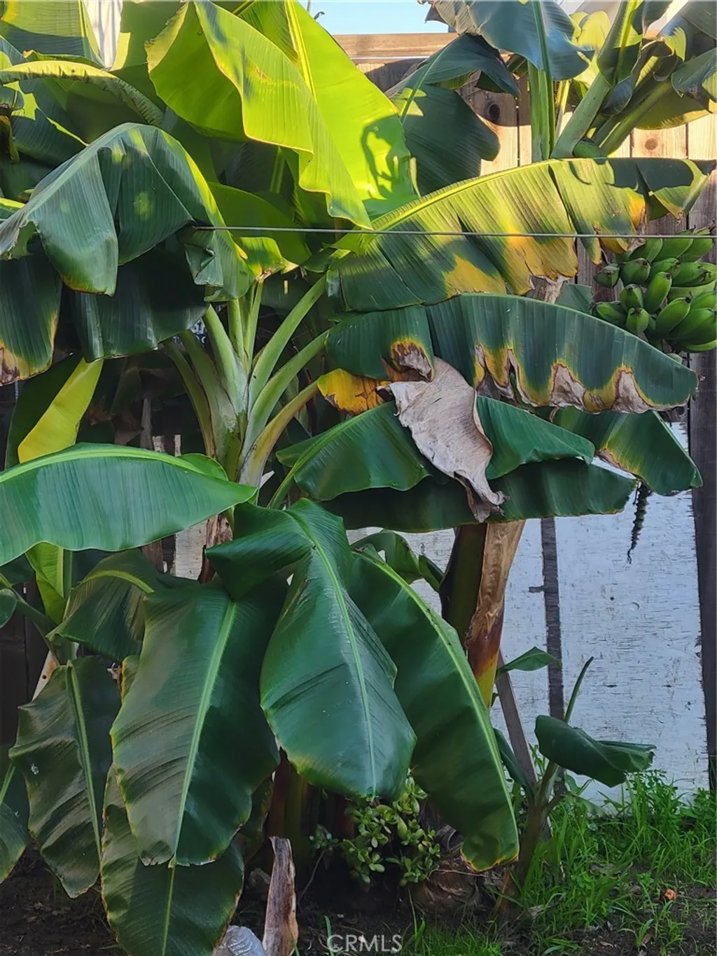 Additional image 32 of 1934 Vineyard, Los Angeles, CA 90016