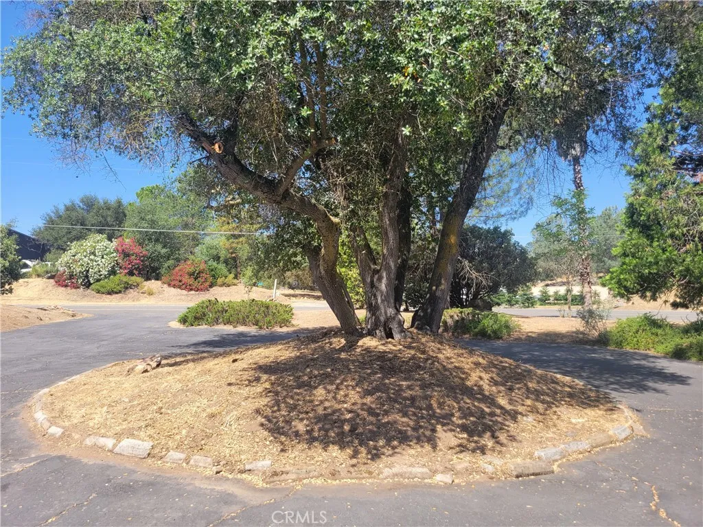 Additional image 22 of 30685 Yosemite Springs Parkway, Coarsegold, CA 93614