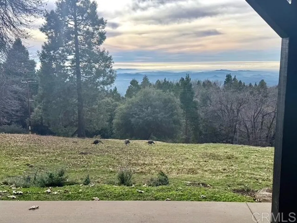 Additional image 31 of 3413 Fern Meadow Road, Palomar Mountain, CA 92060