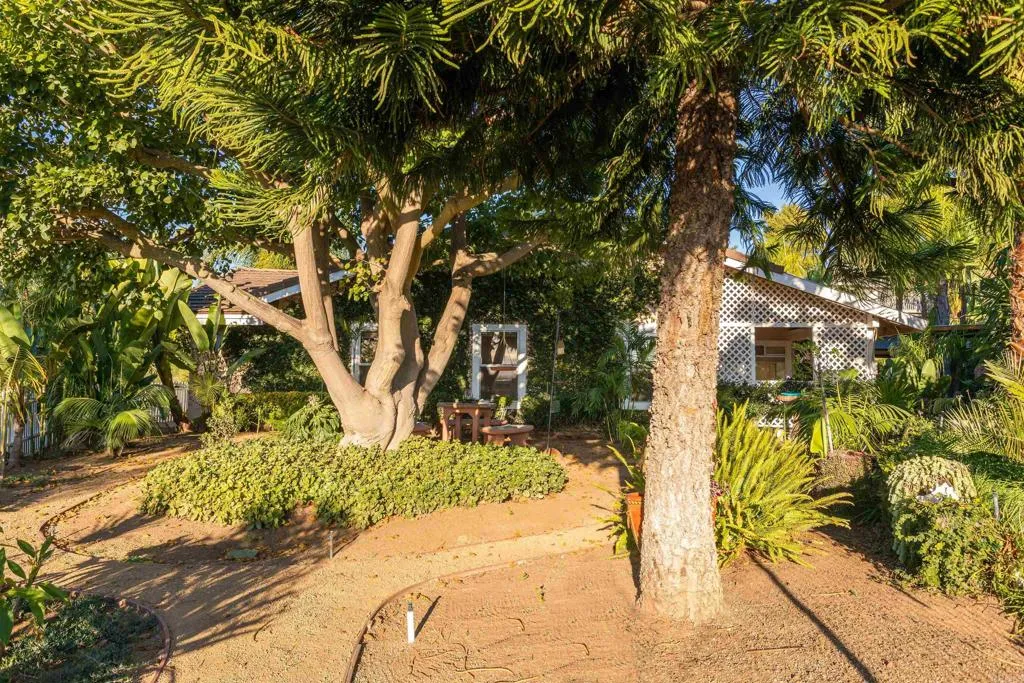 Additional image 31 of 351 Sheila Lane, Fallbrook, CA 92028