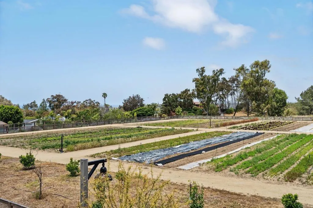 Additional image 73 of 1400 Anacona Place Unit 105, Encinitas, CA 92024