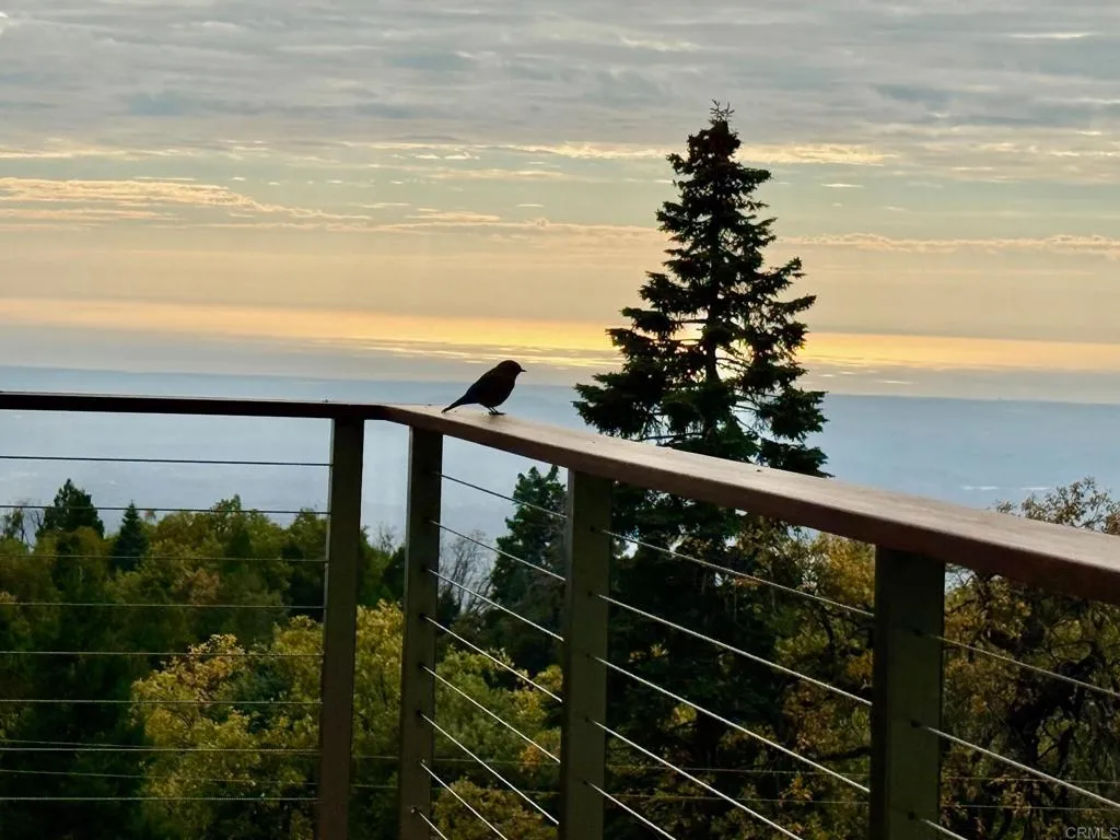 Additional image 16 of 3413 Fern Meadow Road, Palomar Mountain, CA 92060