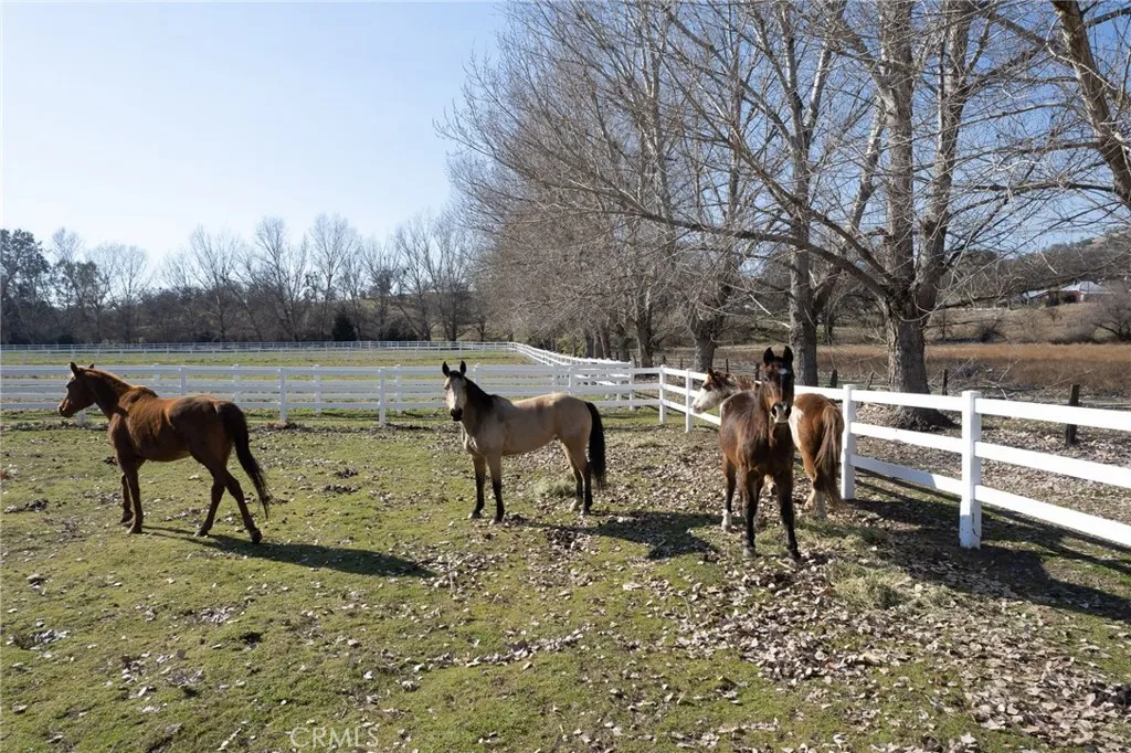 Additional image 78 of 36039 Cranmore Ln., Auberry, CA 93602