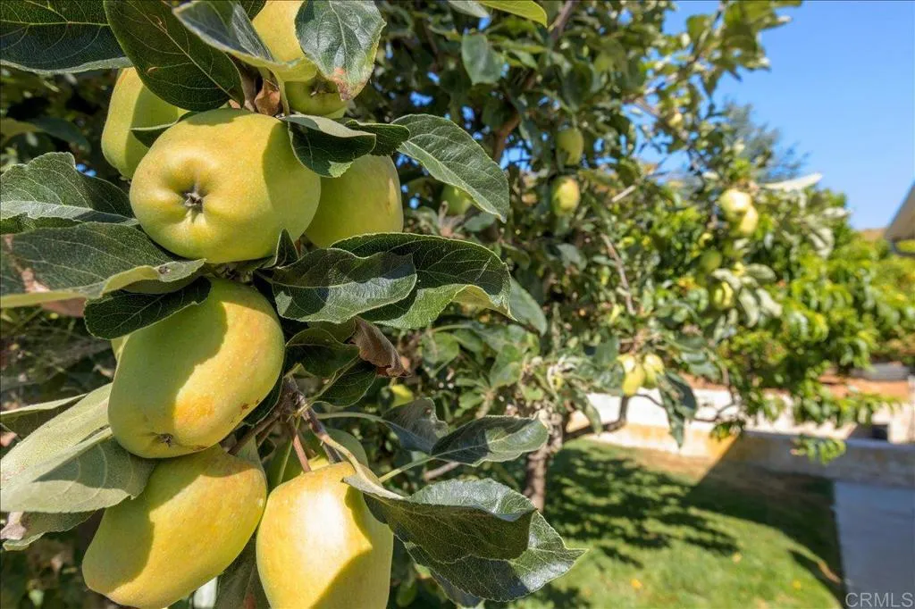 Additional image 27 of 827 Bayberry Ct., San Marcos, CA 92069