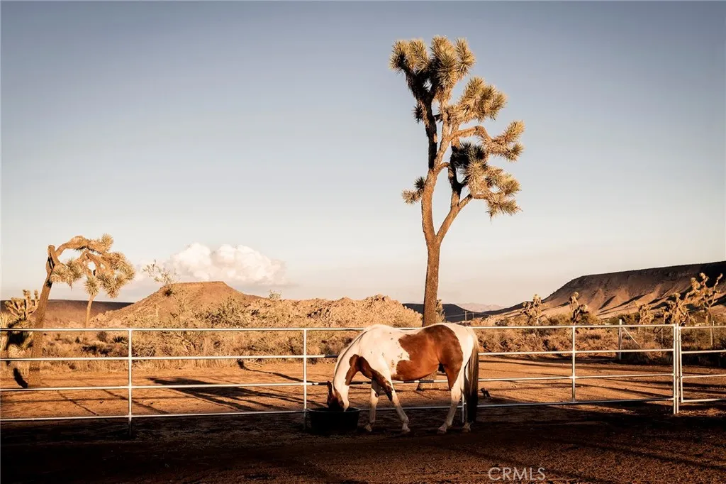 Additional image 133 of 2680 Vine Ave, Pioneertown, CA 92268